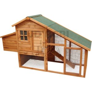 Élevage de volailles - 580580346