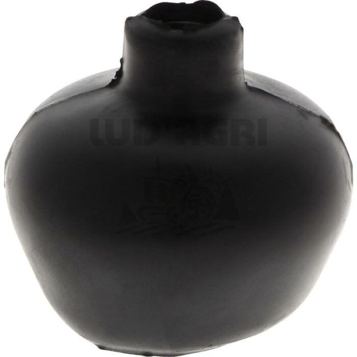 70815048.jpg 70815048.jpg