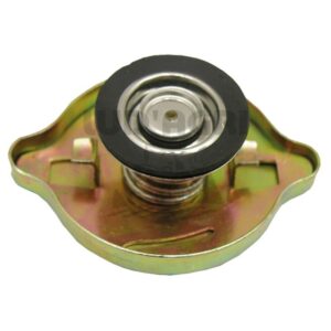 Bouchon de radiateur - 1550161099118