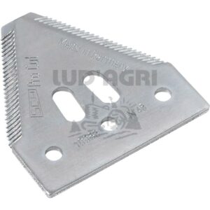 Section - 529420100046/25