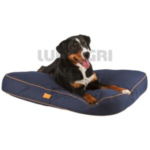 Accessoires pour chiens et chats - 580580061