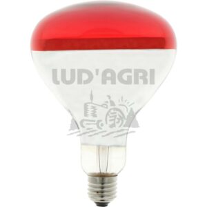 Élevage de volailles - 58070609