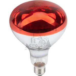 Élevage de volailles - 58070610