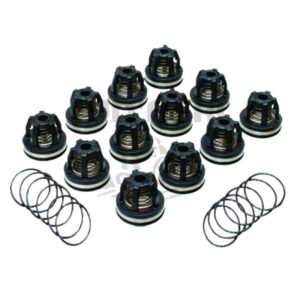 Pompe à membrane à piston AR - 6702114