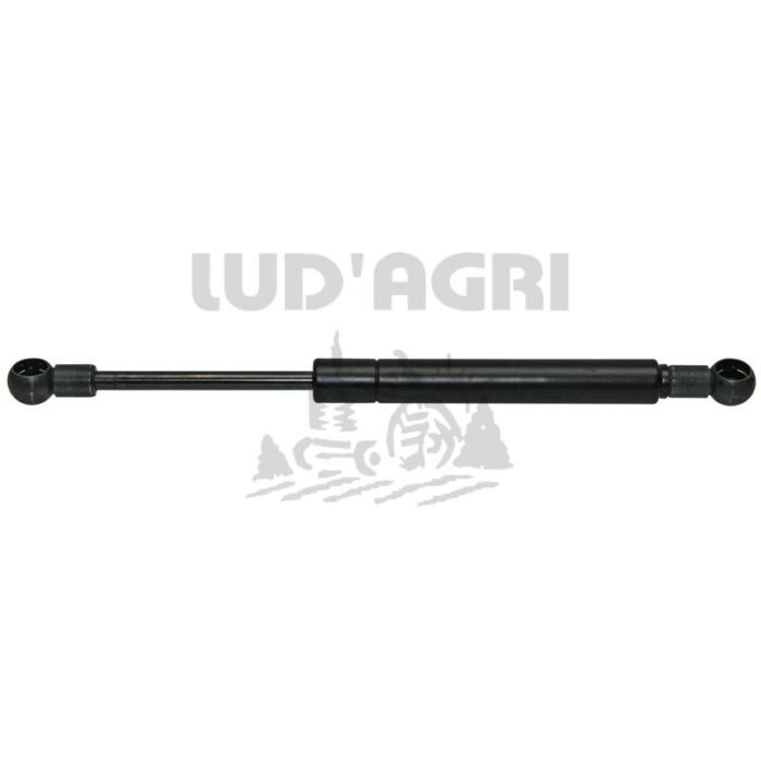 Gasdruckfedern_Form6