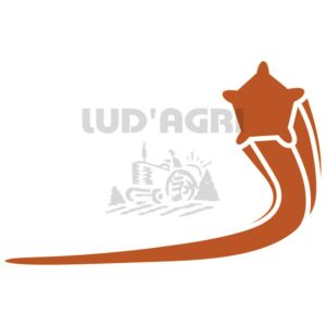 Fil de coupe en nylon Pro Cut - 13283212