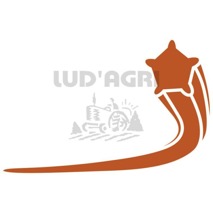 Pictogramm_Sternprofil_Orange